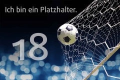 platzhalter_18