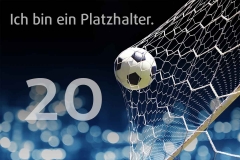 platzhalter_20