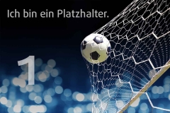 Kurze Beschreibung