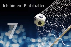 platzhalter_07
