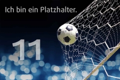 platzhalter_11