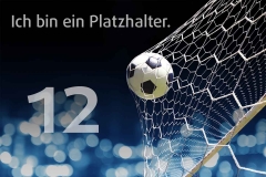platzhalter_12
