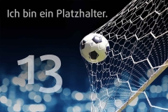 platzhalter_13