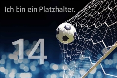 platzhalter_14