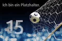 platzhalter_15