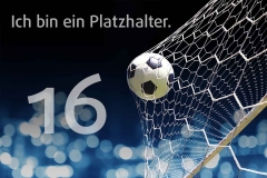 platzhalter_16