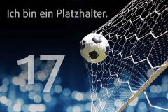 platzhalter_17